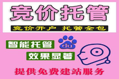 SEM代运营公司案例：揭秘企业营销增长之道